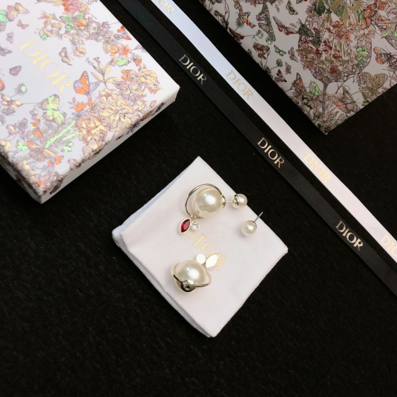 Christian Dior Earrings